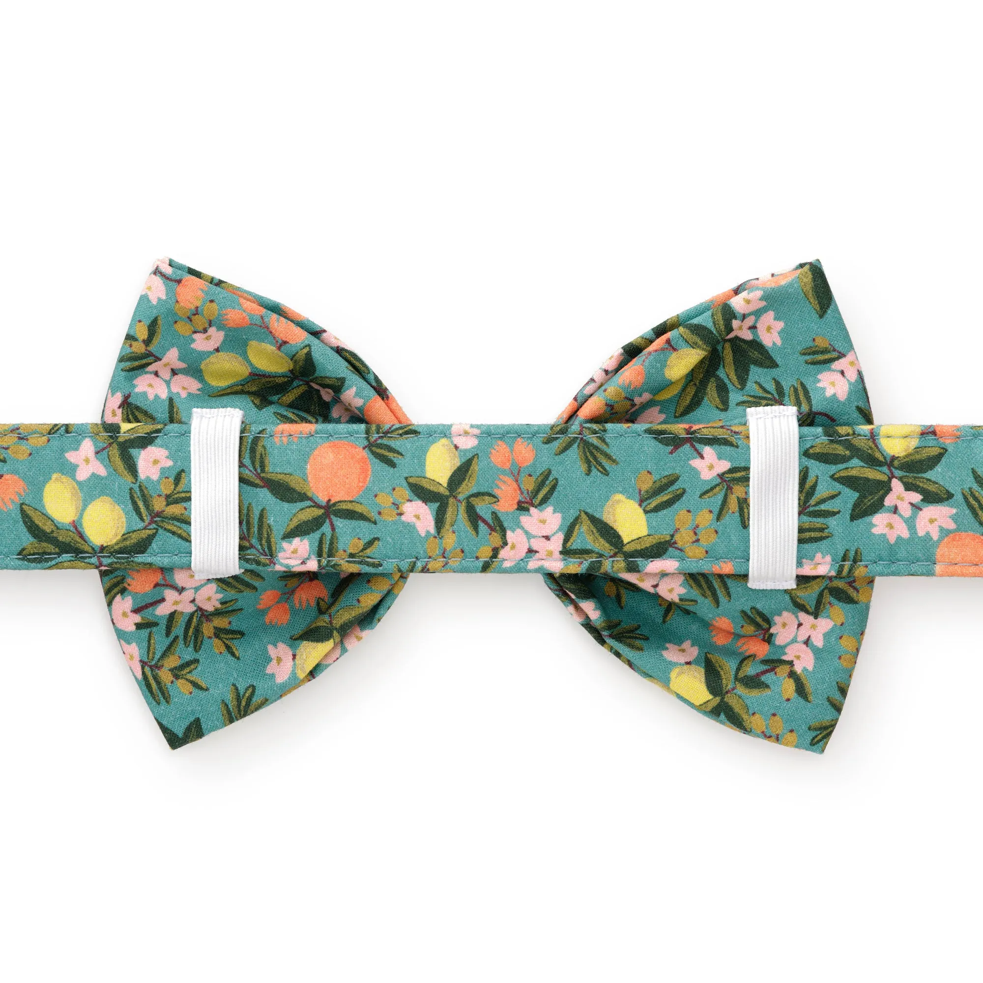 Rifle Paper Co. x TFD Citrus Floral Dog Bow Tie